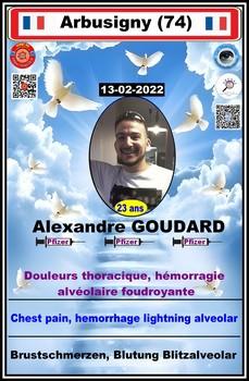 Dcd alexandre qrc 1