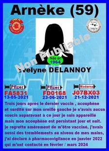 Ei evelyne delannoy 1