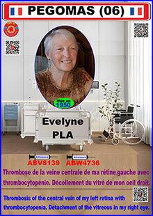 Ei evelyne pla 1