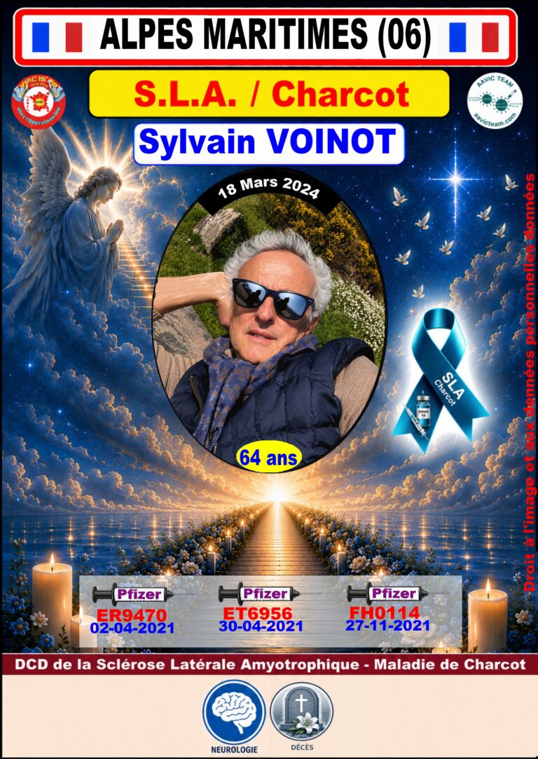 06 - Sylvain@